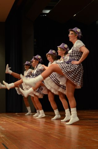 umzug simmern_140301_vb_338